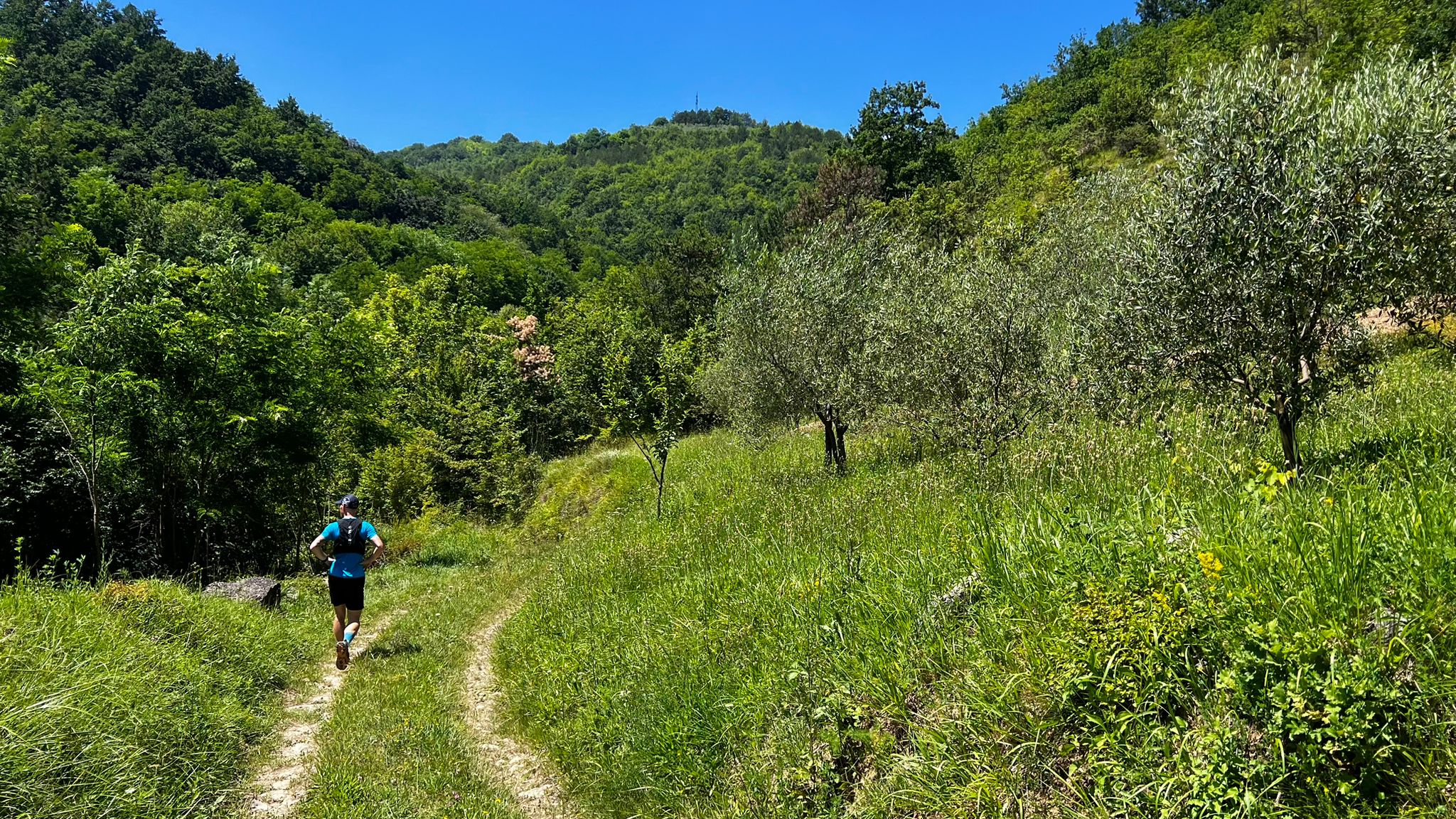 Sport i priroda u savršenom spoju:  Ove subote ne propustite trail utrku u Kašćergi